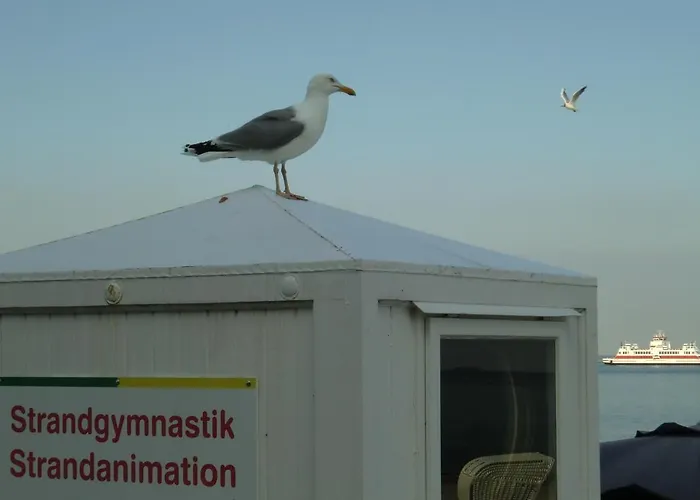 杜斯加尼酒店 酒店 3*